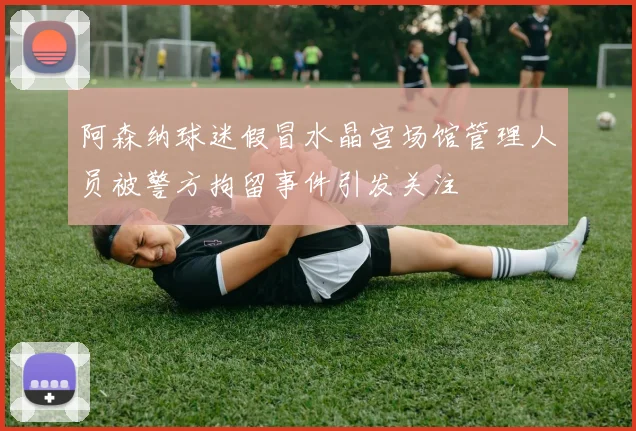 阿森纳球迷假冒水晶宫场馆管理人员被警方拘留事件引发关注